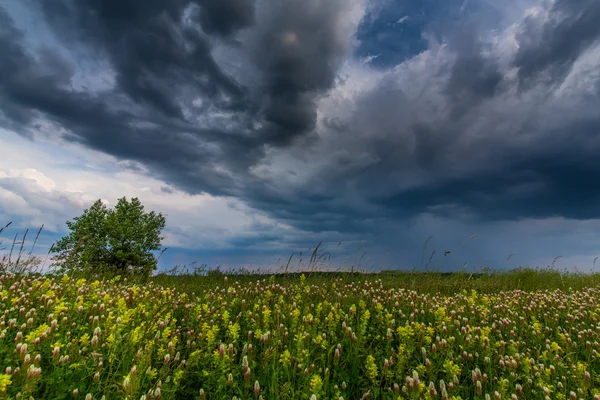 Venkovské krajiny s bouřkovými mraky — Stock fotografie