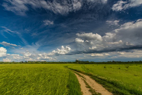 Paisagem rural com nuvens de tempestade — Fotografia de Stock