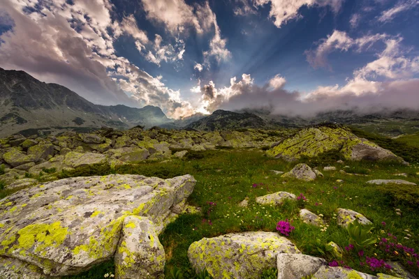 特兰西瓦尼亚阿尔卑斯山的美丽自然风光 — 图库照片