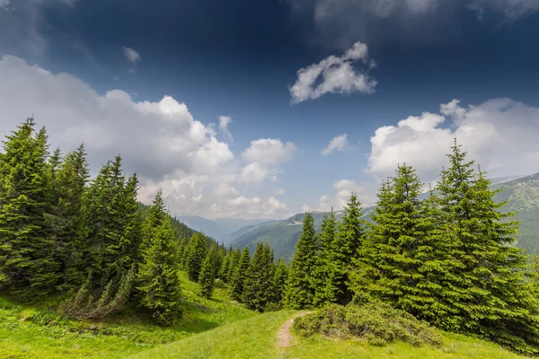 Красиві гірські пейзажі в Альпах трансільванських — стокове фото