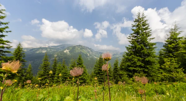 Beautiful mountain scenery in the Transylvanian Alps — Stock Photo, Image
