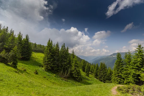 Hermoso paisaje de montaña en los Alpes transilvanos —  Fotos de Stock