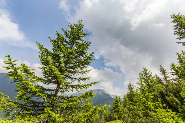 特兰西瓦尼亚阿尔卑斯山的美丽自然风光 — 图库照片
