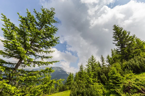 Indah pemandangan gunung di pegunungan Transylvania Alpen — Stok Foto