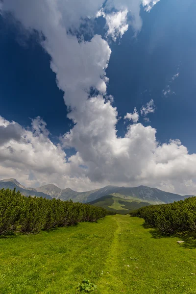 Hermoso paisaje de montaña en los Alpes transilvanos — Foto de Stock