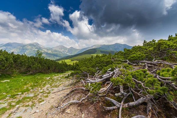 Wunderschöne Berglandschaft in den Siebenbürger Alpen — Stockfoto