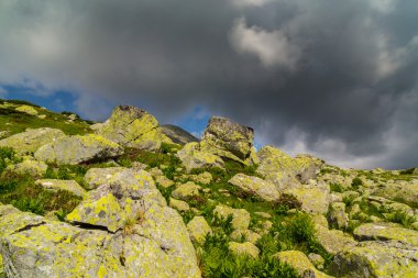 Yaz aylarında Transilvanya Alpleri'nde güzel dağ manzarası