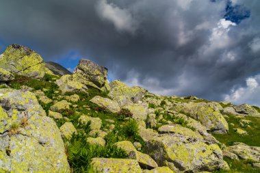 Yaz aylarında Transilvanya Alpleri'nde güzel dağ manzarası