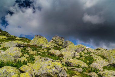 Yaz aylarında Transilvanya Alpleri'nde güzel dağ manzarası