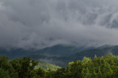 Yaz aylarında Transilvanya Alpleri'nde güzel dağ manzarası
