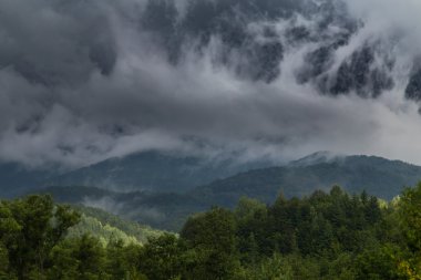 Yaz aylarında Transilvanya Alpleri'nde güzel dağ manzarası