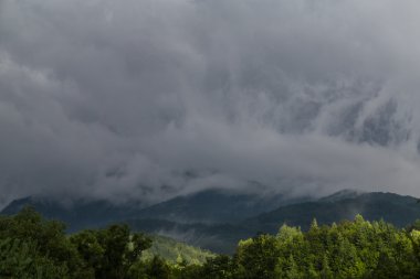 Yaz aylarında Transilvanya Alpleri'nde güzel dağ manzarası