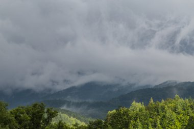 Yaz aylarında Transilvanya Alpleri'nde güzel dağ manzarası