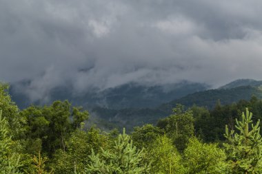 Yaz aylarında Transilvanya Alpleri'nde güzel dağ manzarası