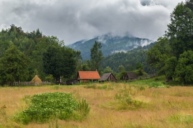 Yaz aylarında Transilvanya Alpleri'nde güzel dağ manzarası
