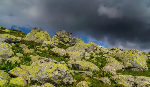 Beautiful mountain scenery in the Transylvanian Alps in summer — Stock Photo, Image