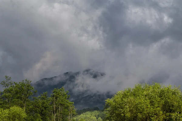 Beau paysage de montagne dans les Alpes de Transylvanie en été — Photo