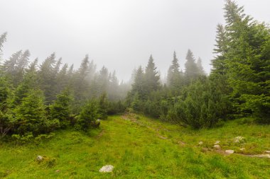 Yazın Transilvanya Alplerinde dağ manzarası