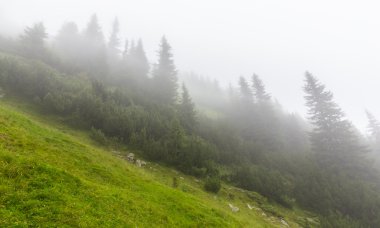 Yazın Transilvanya Alplerinde dağ manzarası