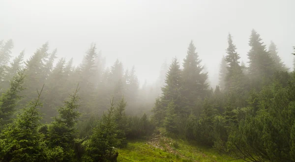 Krajobraz górski w Alpach transylwańskich w lecie — Zdjęcie stockowe