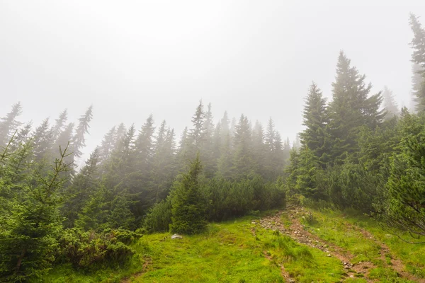 Paisaje de montaña en los Alpes transilvanos en verano — Foto de Stock