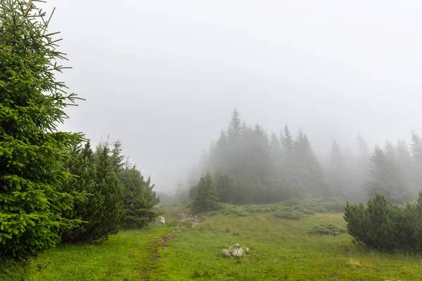 Horská krajina v transylvánských Alpách v létě — Stock fotografie