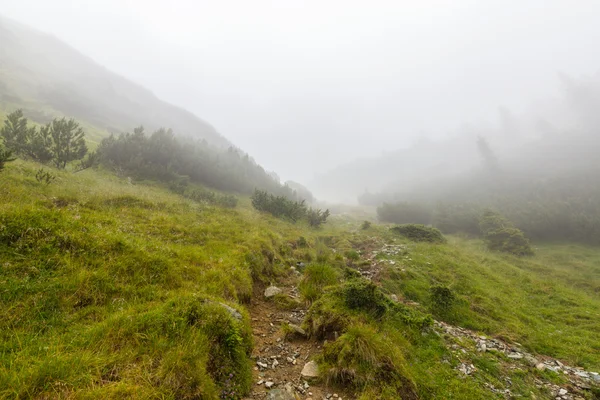 Paisaje de montaña en los Alpes transilvanos en verano — Foto de Stock