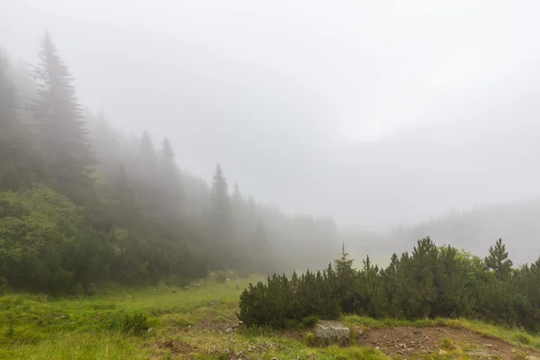 Paysage de montagne dans les Alpes transylvaniennes en été — Photo