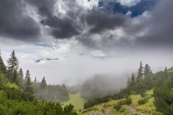 Paisaje de montaña en los Alpes transilvanos en verano — Foto de Stock