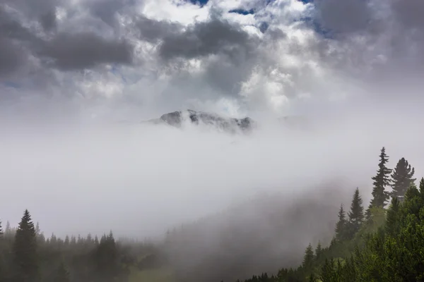 夏天的川西阿尔卑斯山中的山地景观 — 图库照片