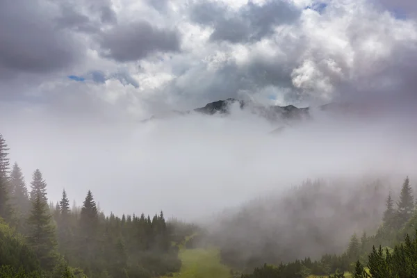 夏天的川西阿尔卑斯山中的山地景观 — 图库照片