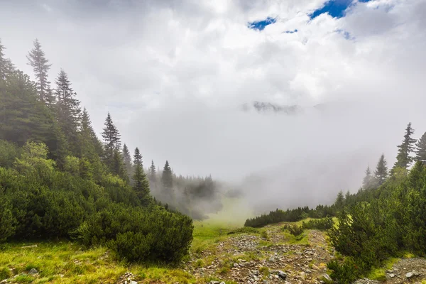 Paysage de montagne dans les Alpes transylvaniennes en été — Photo