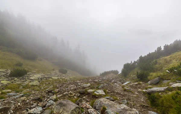 Paisaje de montaña en los Alpes transilvanos en verano —  Fotos de Stock