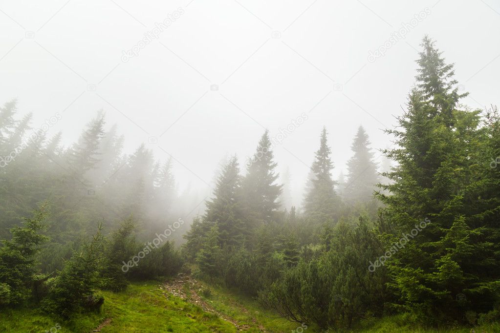 Mountain landscape in the Transylvanian Alps in summer