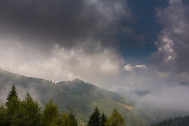 Donmuş nehir ve ağaçları ile kış manzarası