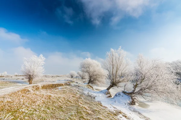 Paisagem de inverno, com rio congelado e árvores — Fotografia de Stock