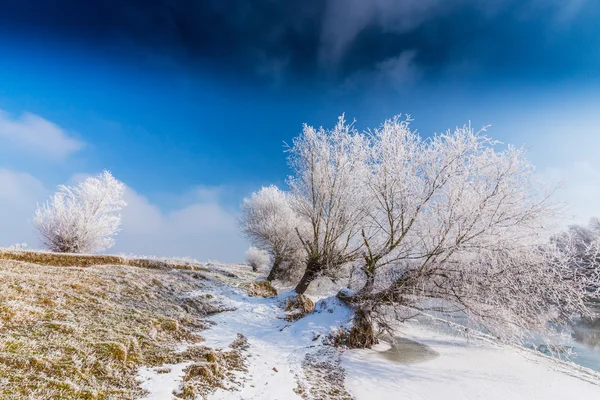 Vinter landskap, med frusna floden och träd — Stockfoto