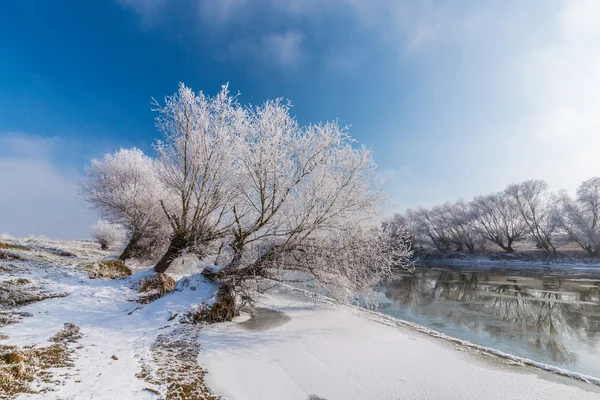 Vinter landskap, med frusna floden och träd — Stockfoto