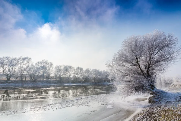Winter landschap, met bevroren rivier en bomen — Stockfoto