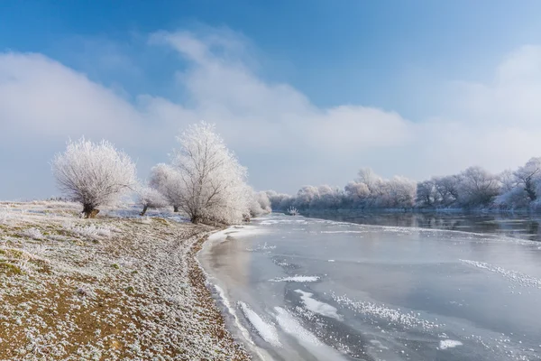 Зимові пейзажі, з замерзлою річкою та деревами — стокове фото