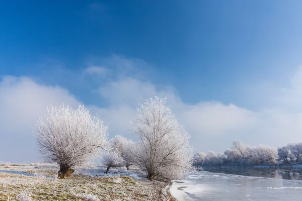 Paisagem de inverno, com rio congelado e árvores — Fotografia de Stock