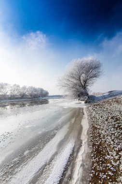 Donmuş nehir ve ağaçlarla parlak kış manzarası