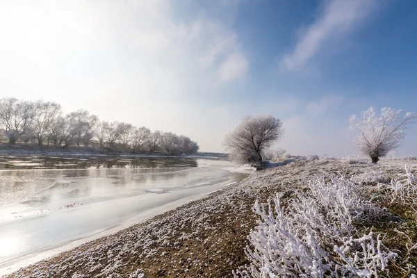 Paisaje de invierno brillante, con el río y los árboles congelados — Foto de Stock