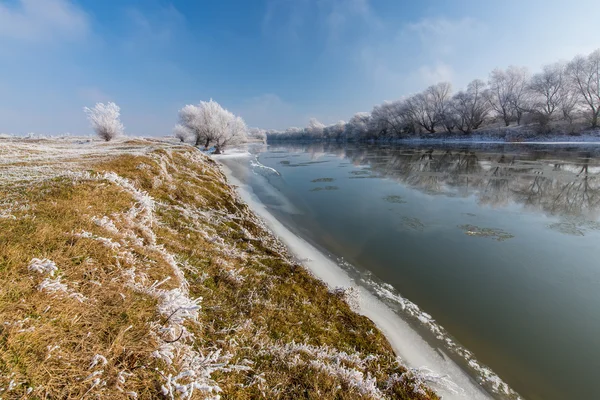 Paisaje de invierno brillante, con el río y los árboles congelados — Foto de Stock