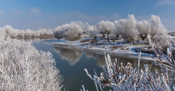 Paisaje de invierno brillante, con el río y los árboles congelados — Foto de Stock