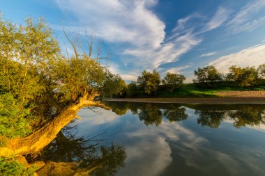 Bulutlu gökyüzü yansıması ile vahşi Nehri Panoraması