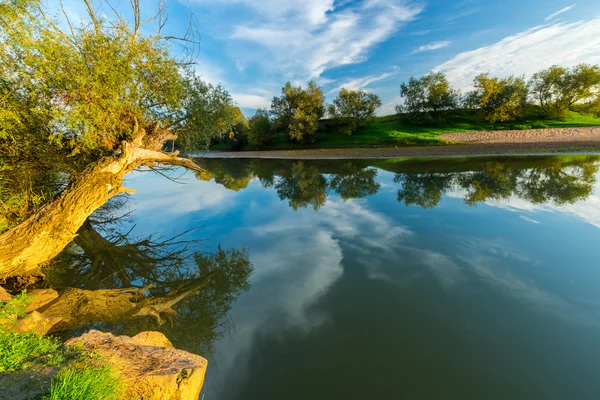 Панорама дикой реки с облачным отражением неба — стоковое фото