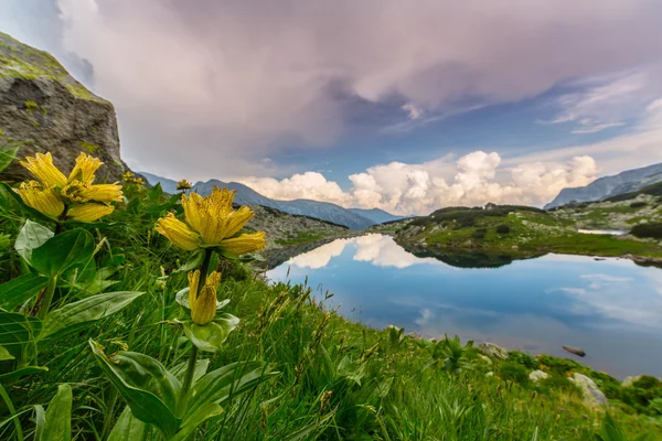 Schöne Berglandschaft in den Siebenbürger Alpen im Sommer — Stockfoto