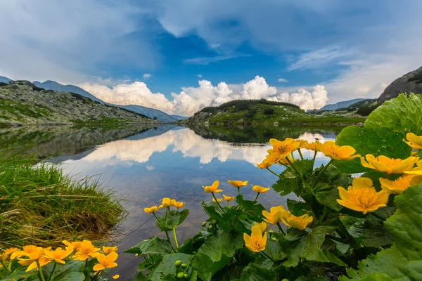 Bellissimo paesaggio montano nelle Alpi della Transilvania in estate — Foto Stock