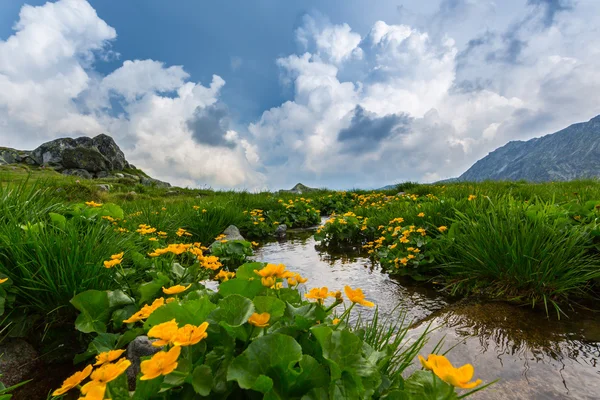 Berglandschaft und Gewitterwolken in den Siebenbürger Alpen — Stockfoto